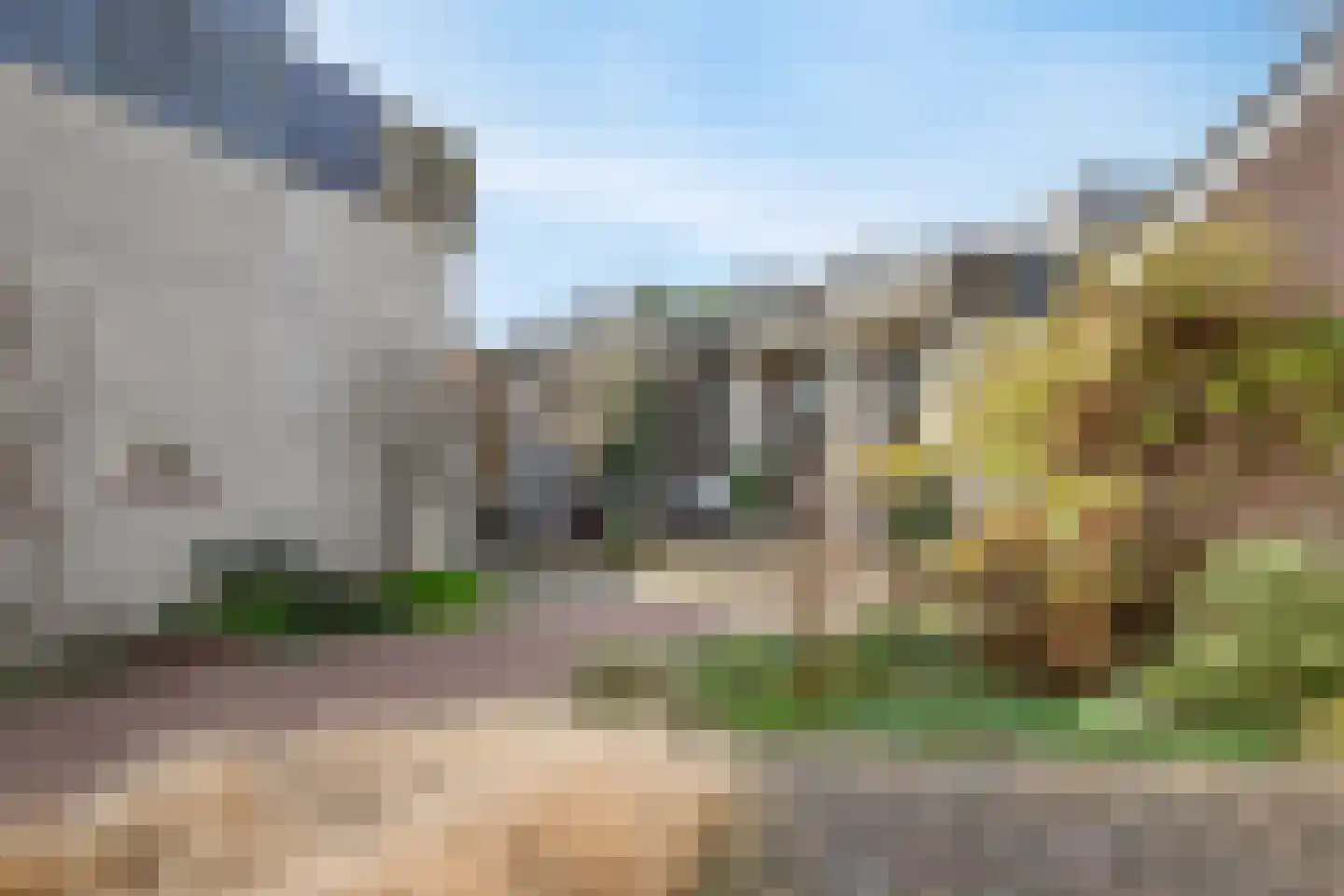 Zwanebloem 34 Reeuwijk thumbnail 63