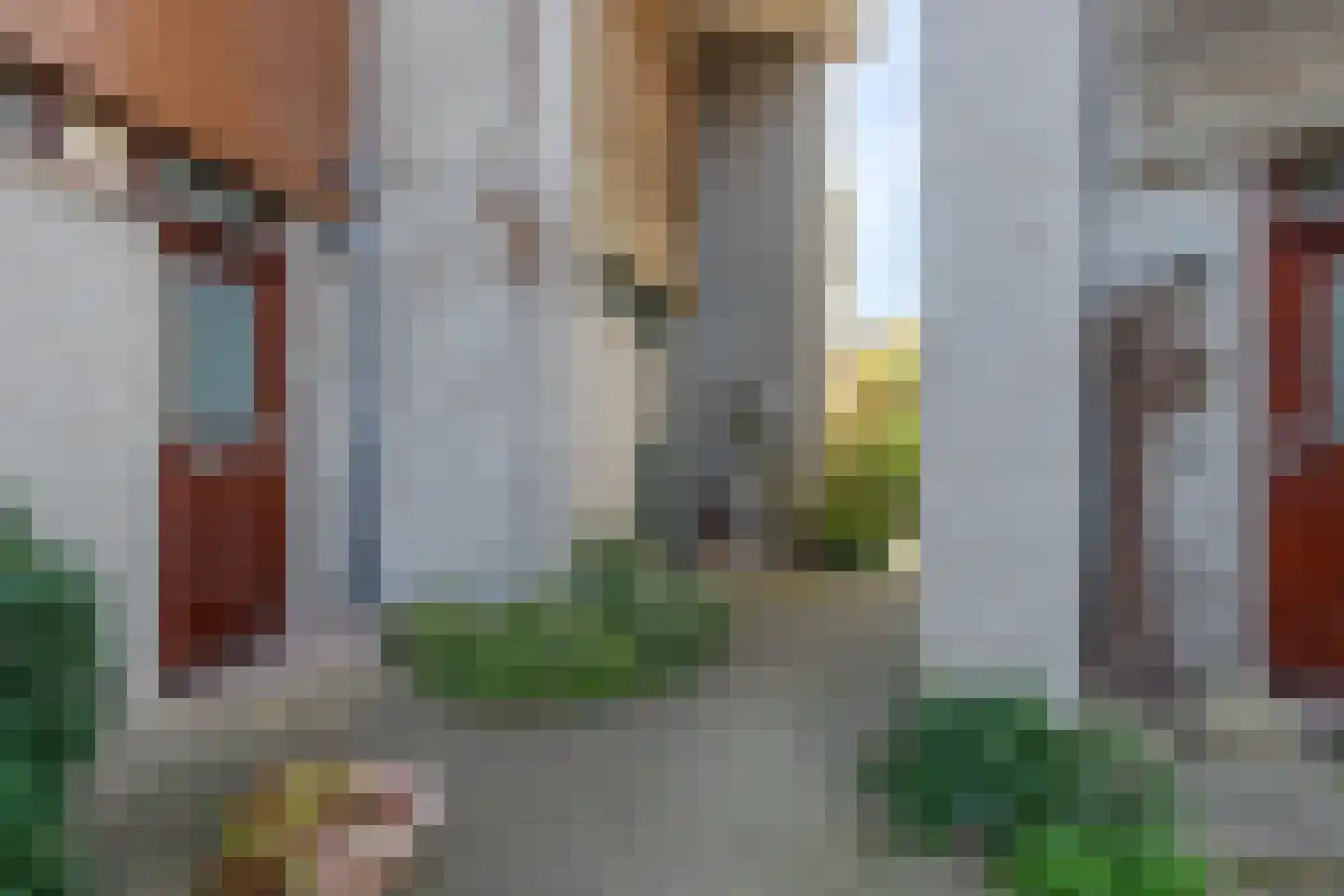 Zwanebloem 34 Reeuwijk thumbnail 65
