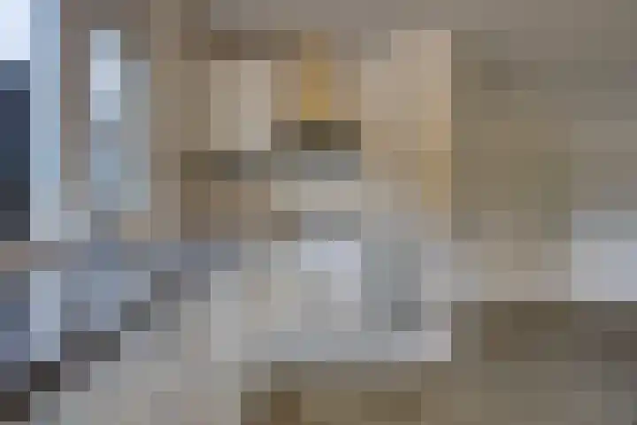 Zwanebloem 36 Zwaag thumbnail 13