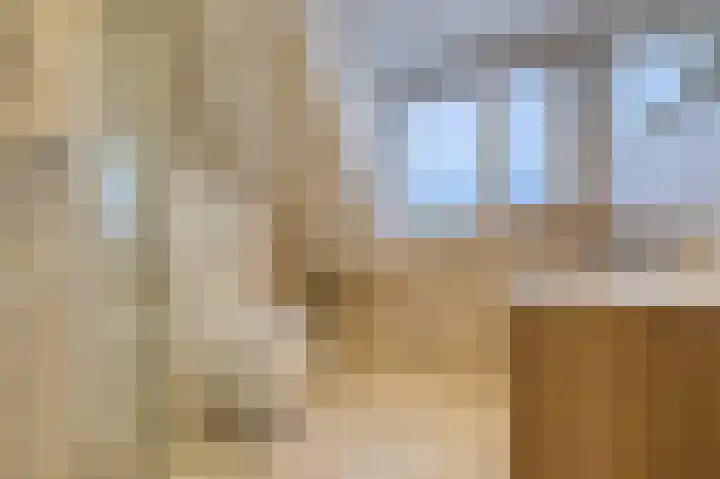Zwanebloem 36 Zwaag thumbnail 23