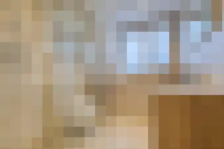 Zwanebloem 36 Zwaag thumbnail 24