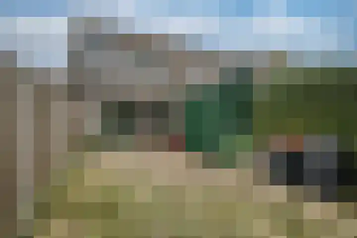 Zwanebloem 36 Zwaag thumbnail 30