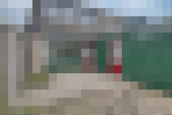 Zwanebloem 36 Zwaag thumbnail 31