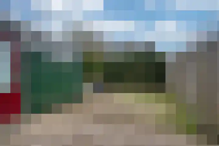 Zwanebloem 36 Zwaag thumbnail 32