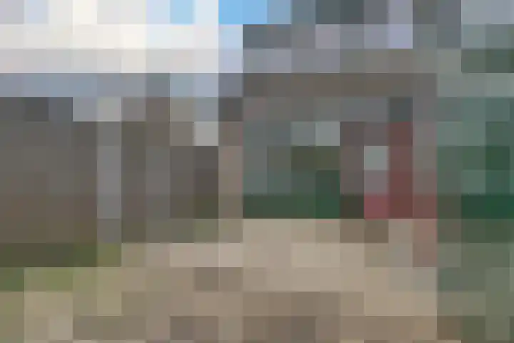 Zwanebloem 36 Zwaag thumbnail 33
