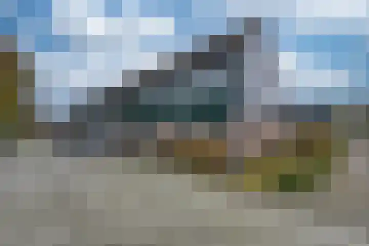 Zwanebloem 36 Zwaag thumbnail 34