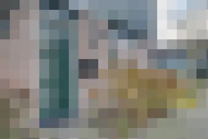 Zwanebloem 36 Zwaag thumbnail 35