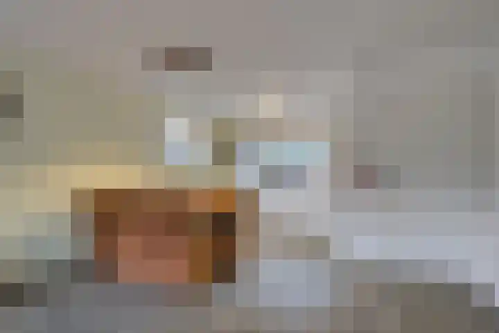 Zwanebloem 36 Zwaag thumbnail 4