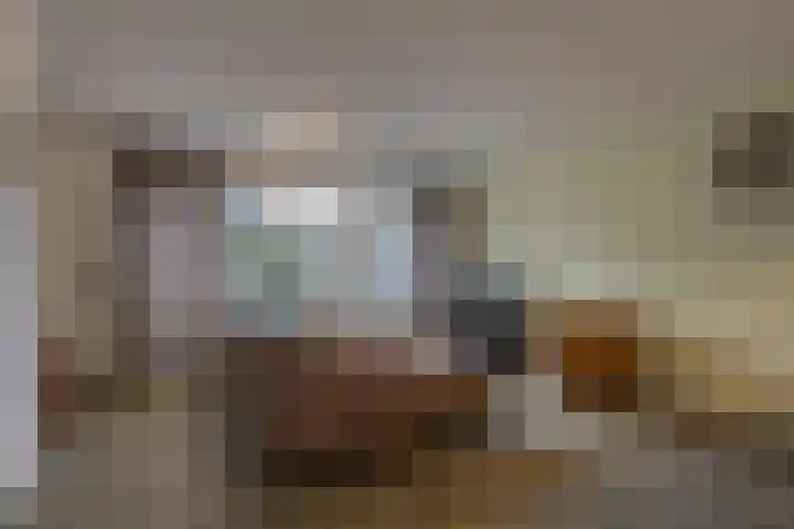 Zwanebloem 36 Zwaag thumbnail 6