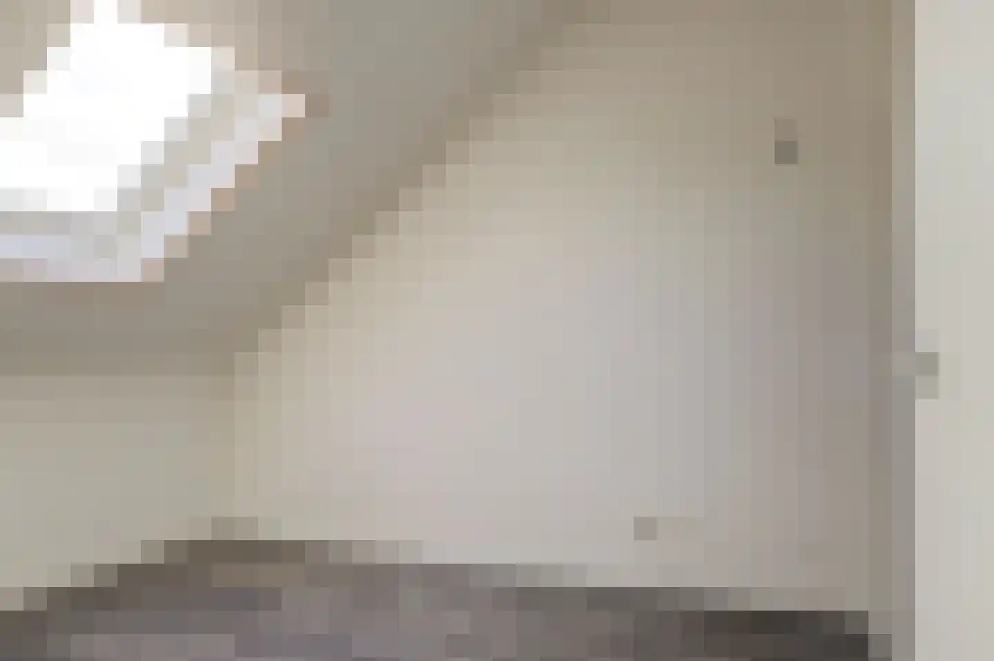 Zwanebloem 4 Abbekerk thumbnail 17
