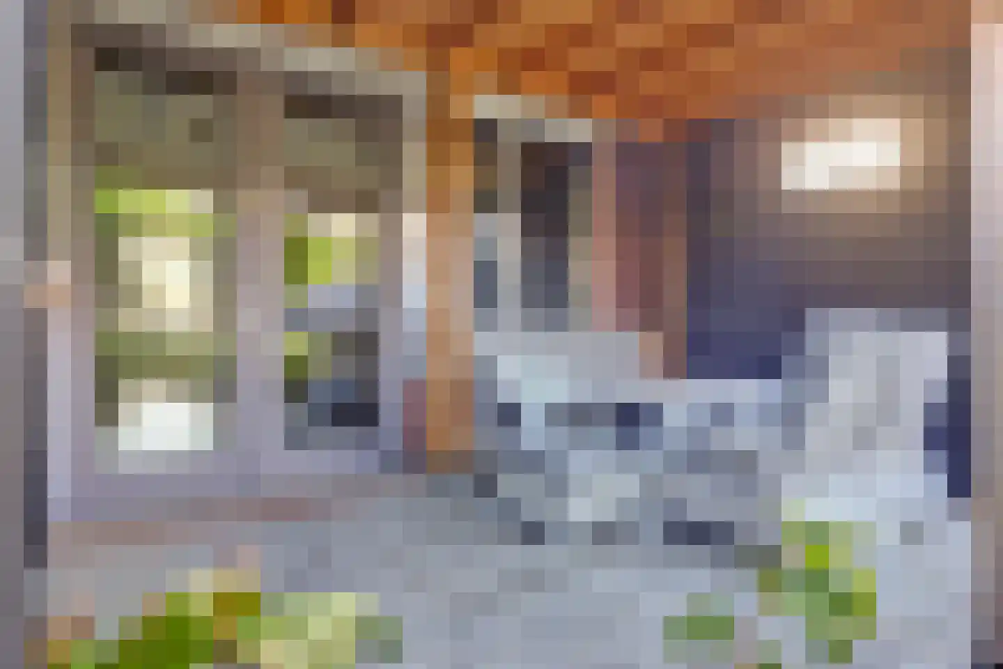 Zwanebloem 4 Abbekerk thumbnail 19
