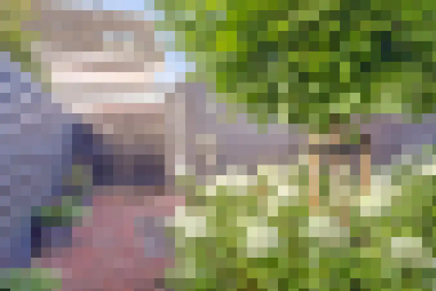 Zwanebloem 4 Abbekerk thumbnail 21