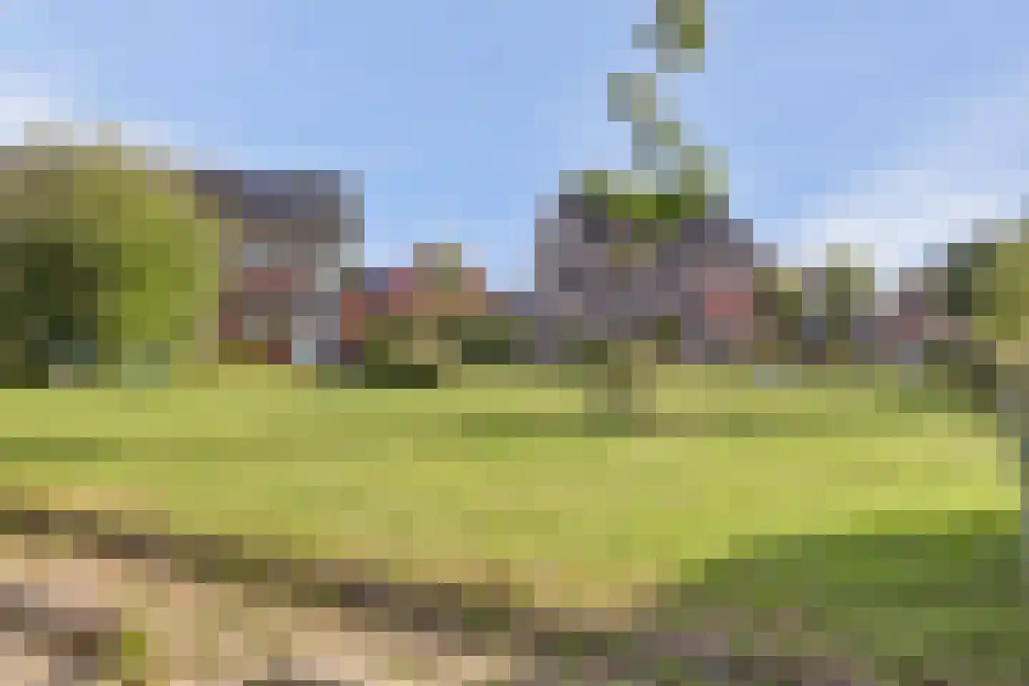 Zwanebloem 4 Abbekerk thumbnail 23