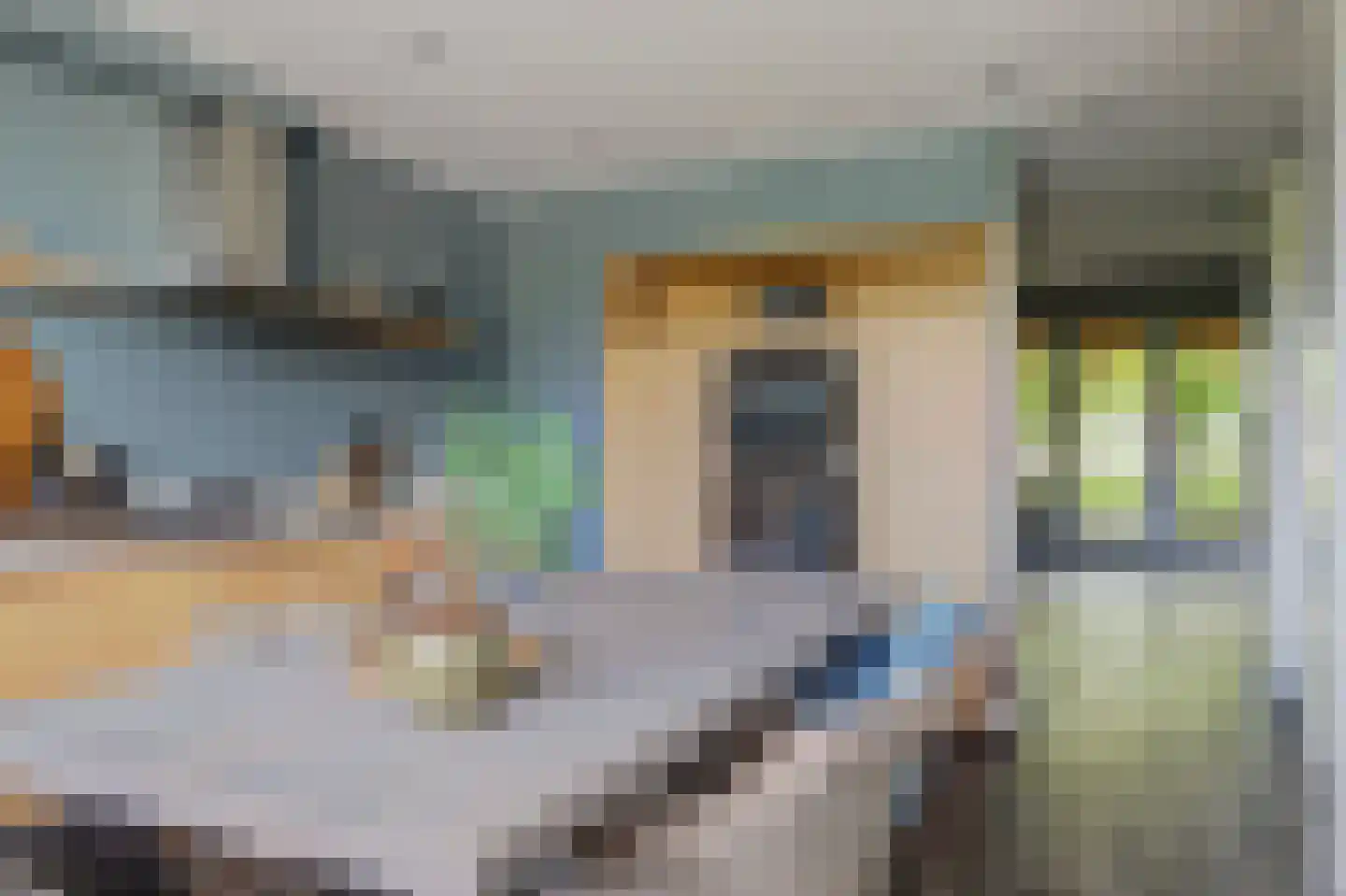 Zwanebloem 4 Abbekerk thumbnail 5