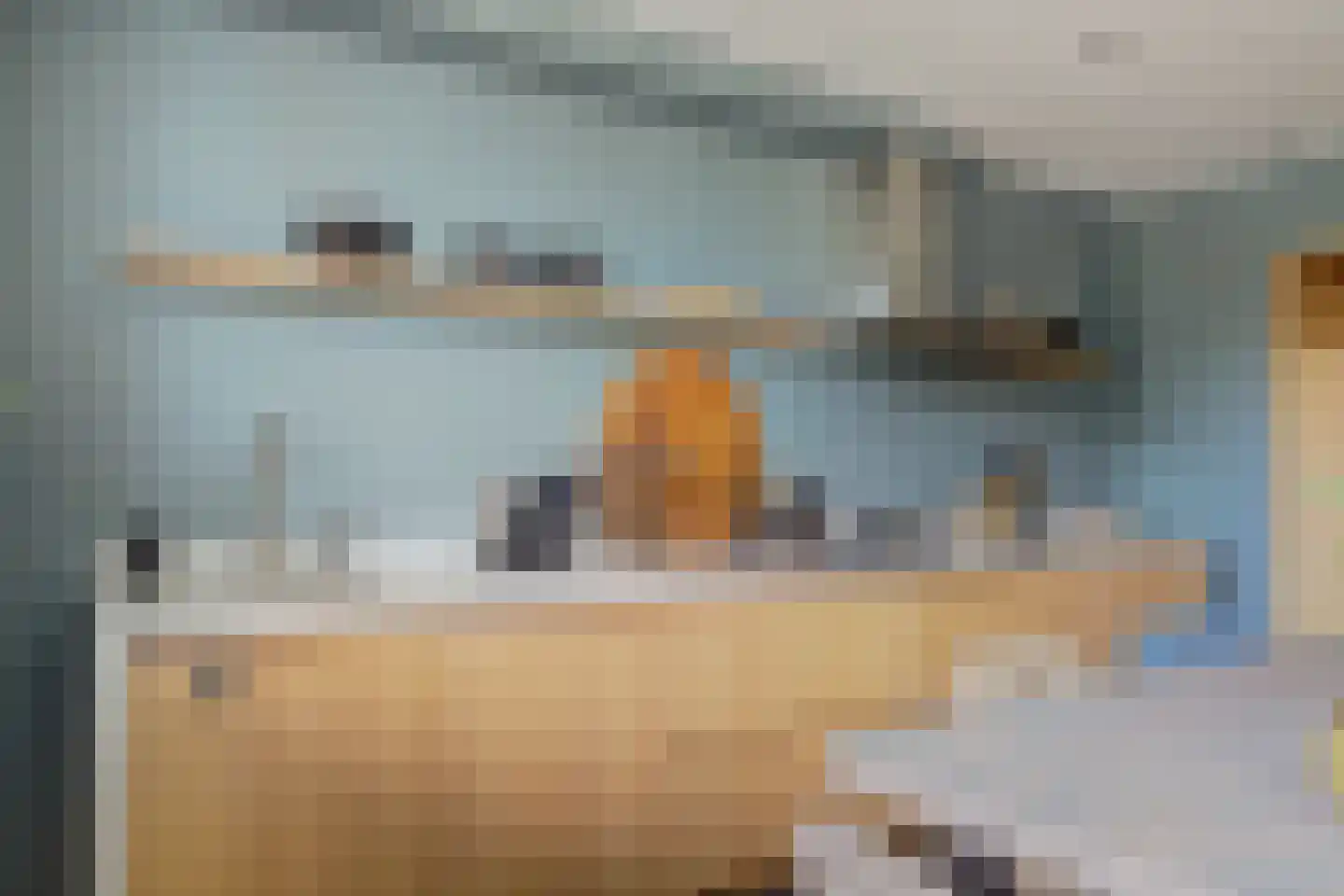 Zwanebloem 4 Abbekerk thumbnail 7