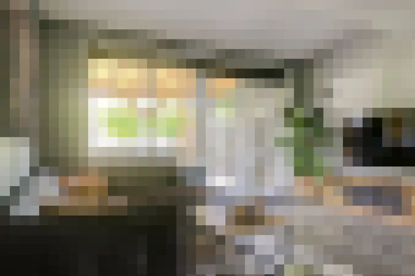 Zwanebloem 4 Abbekerk thumbnail 7