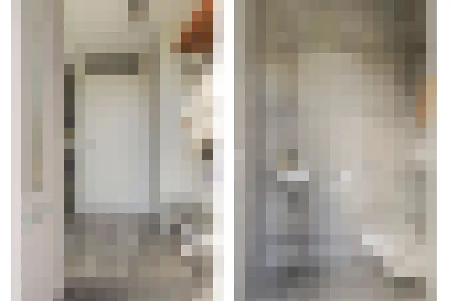 Zwanebloem 4 Abbekerk thumbnail 8