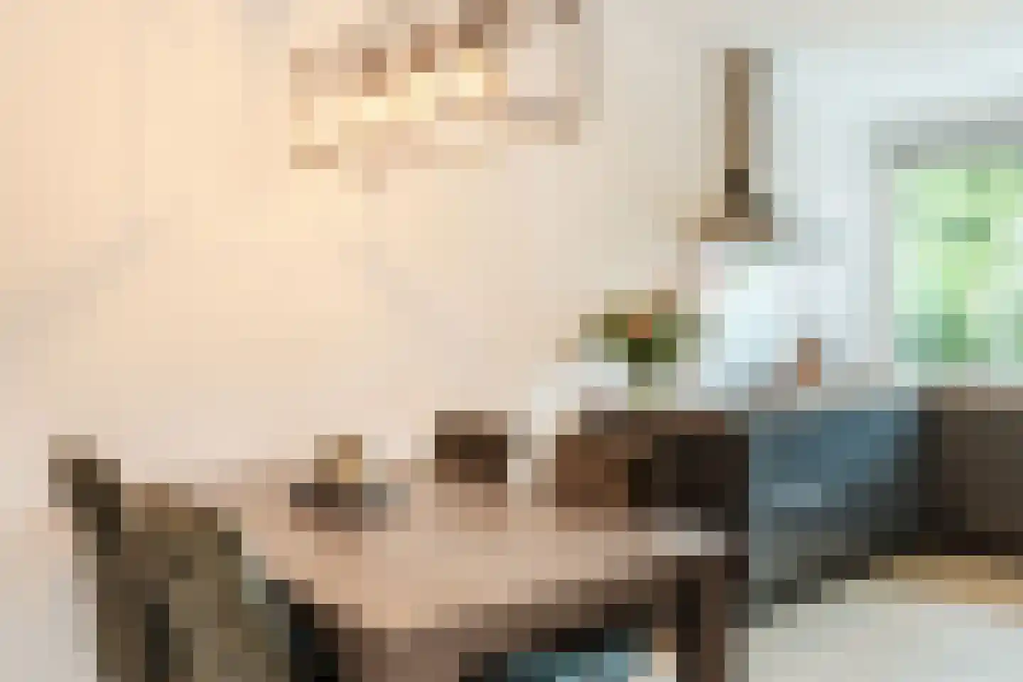 Zwanebloem 4 Bodegraven thumbnail 17