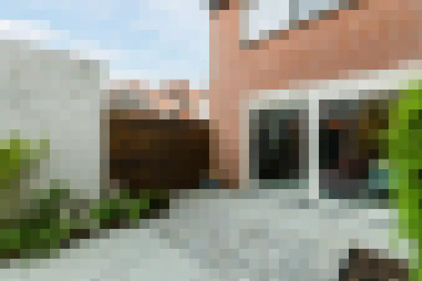 Zwanebloem 4 Bodegraven thumbnail 32