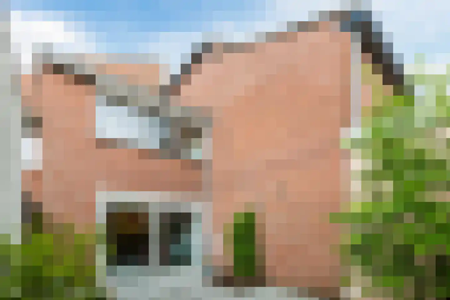 Zwanebloem 4 Bodegraven thumbnail 34