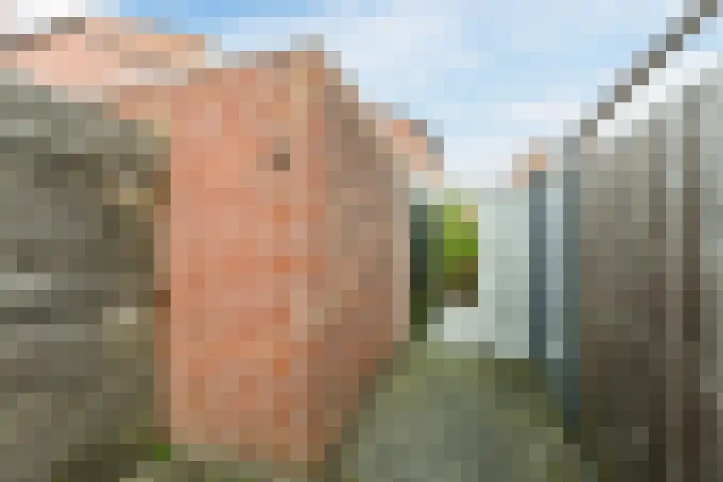 Zwanebloem 4 Bodegraven thumbnail 36