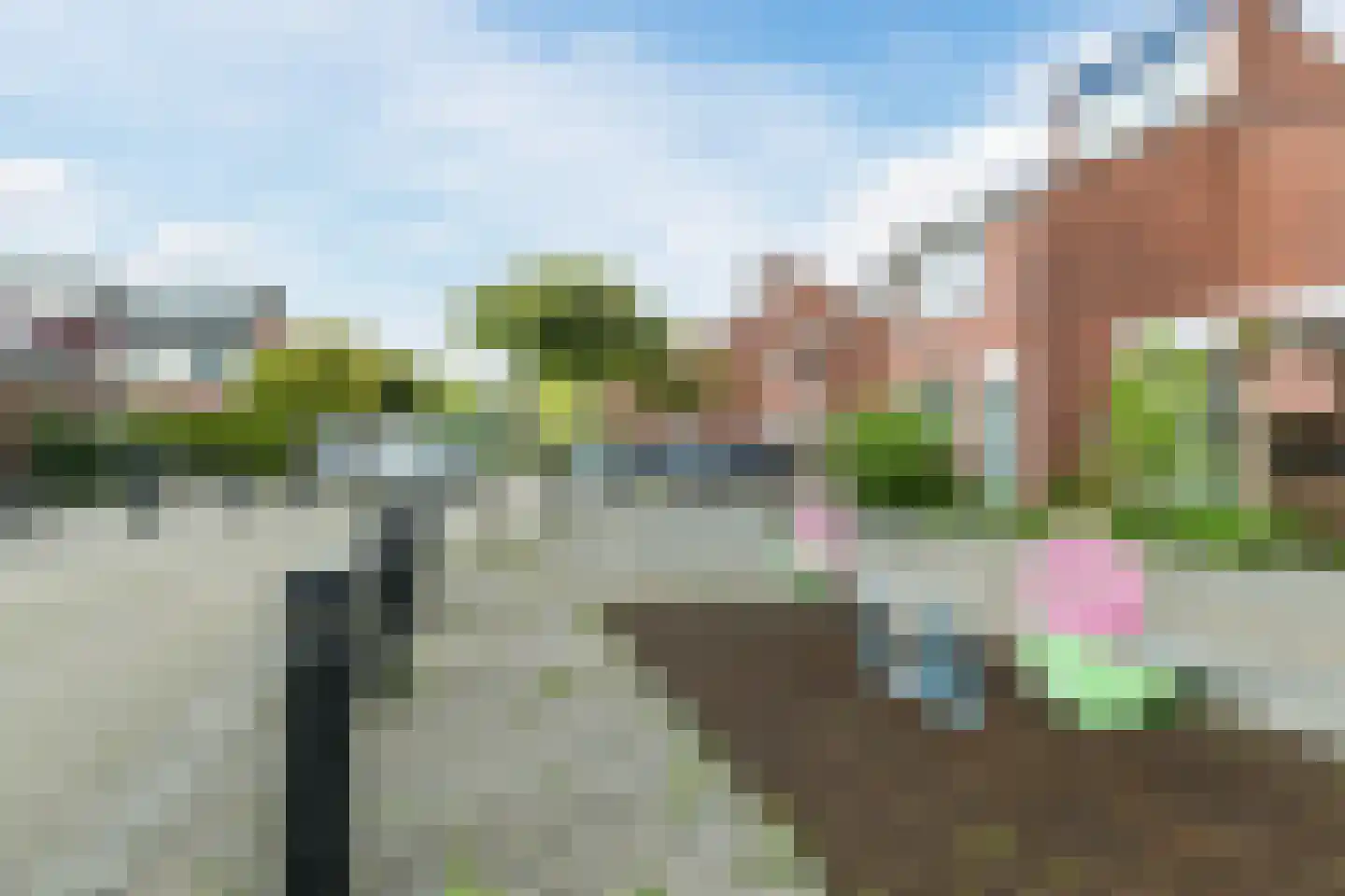 Zwanebloem 4 Bodegraven thumbnail 39