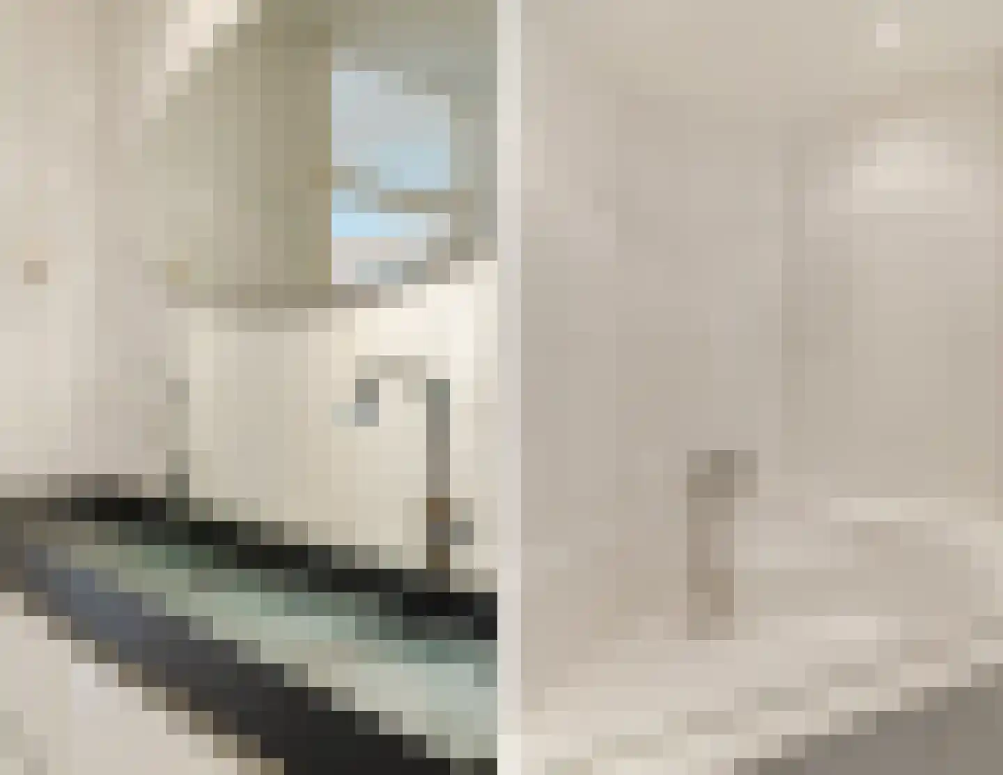 Zwanebloem 4 Bodegraven thumbnail 4