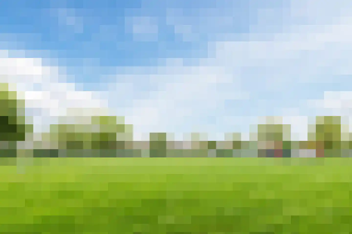 Zwanebloem 4 Bodegraven thumbnail 41