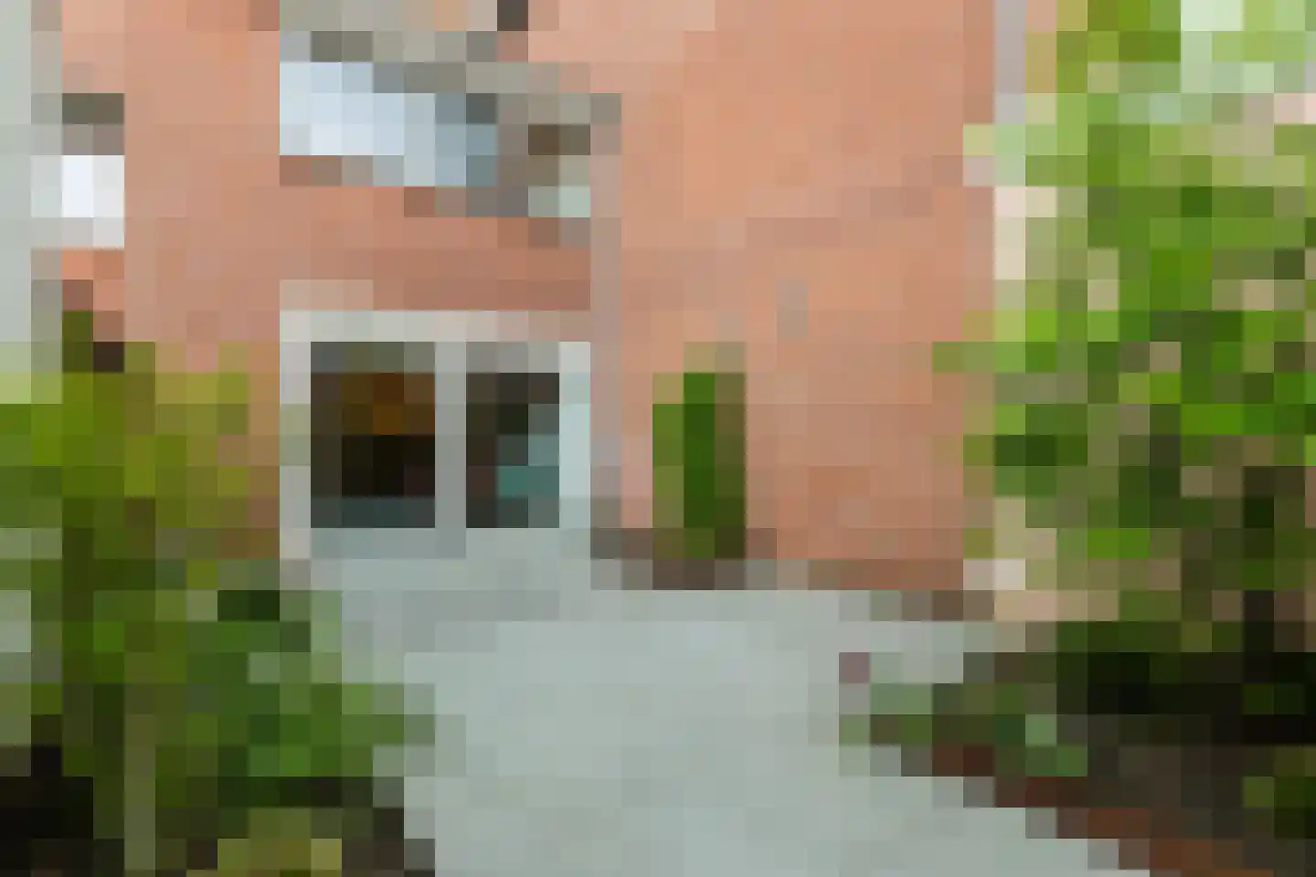 Zwanebloem 4 Bodegraven thumbnail 6