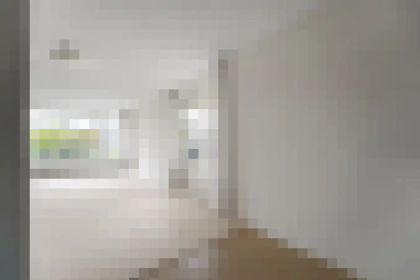 Zwanebloem 4 Den Hoorn thumbnail 17