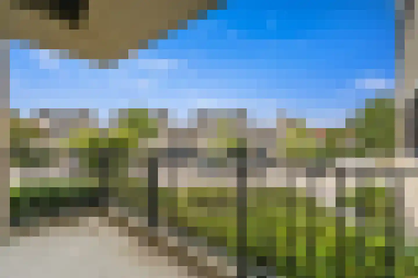 Zwanebloem 4 Den Hoorn thumbnail 19