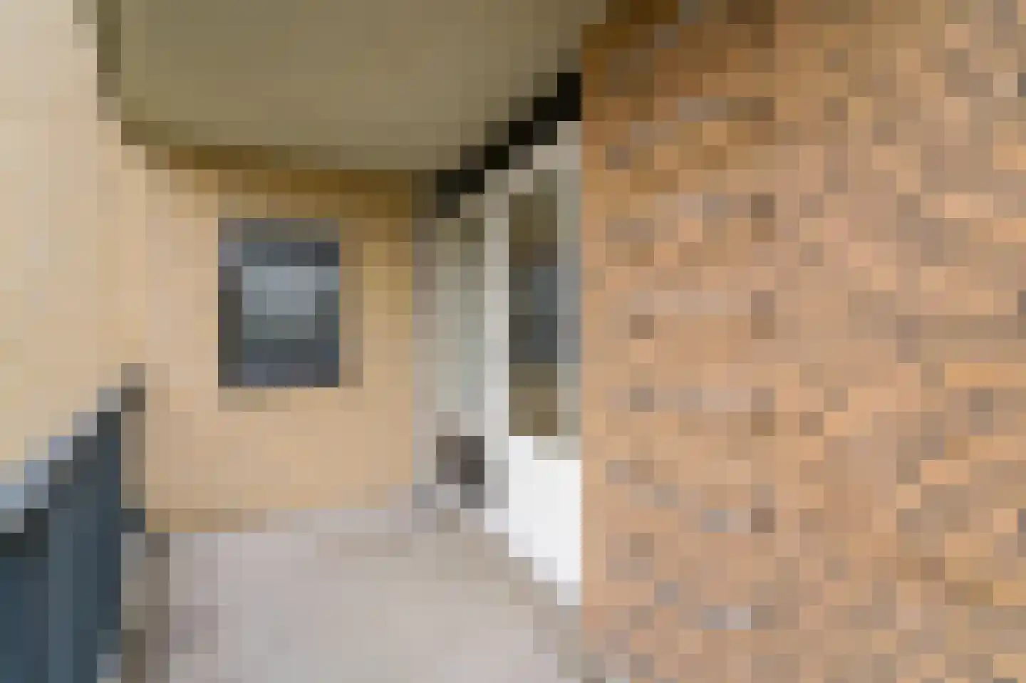 Zwanebloem 4 Den Hoorn thumbnail 20