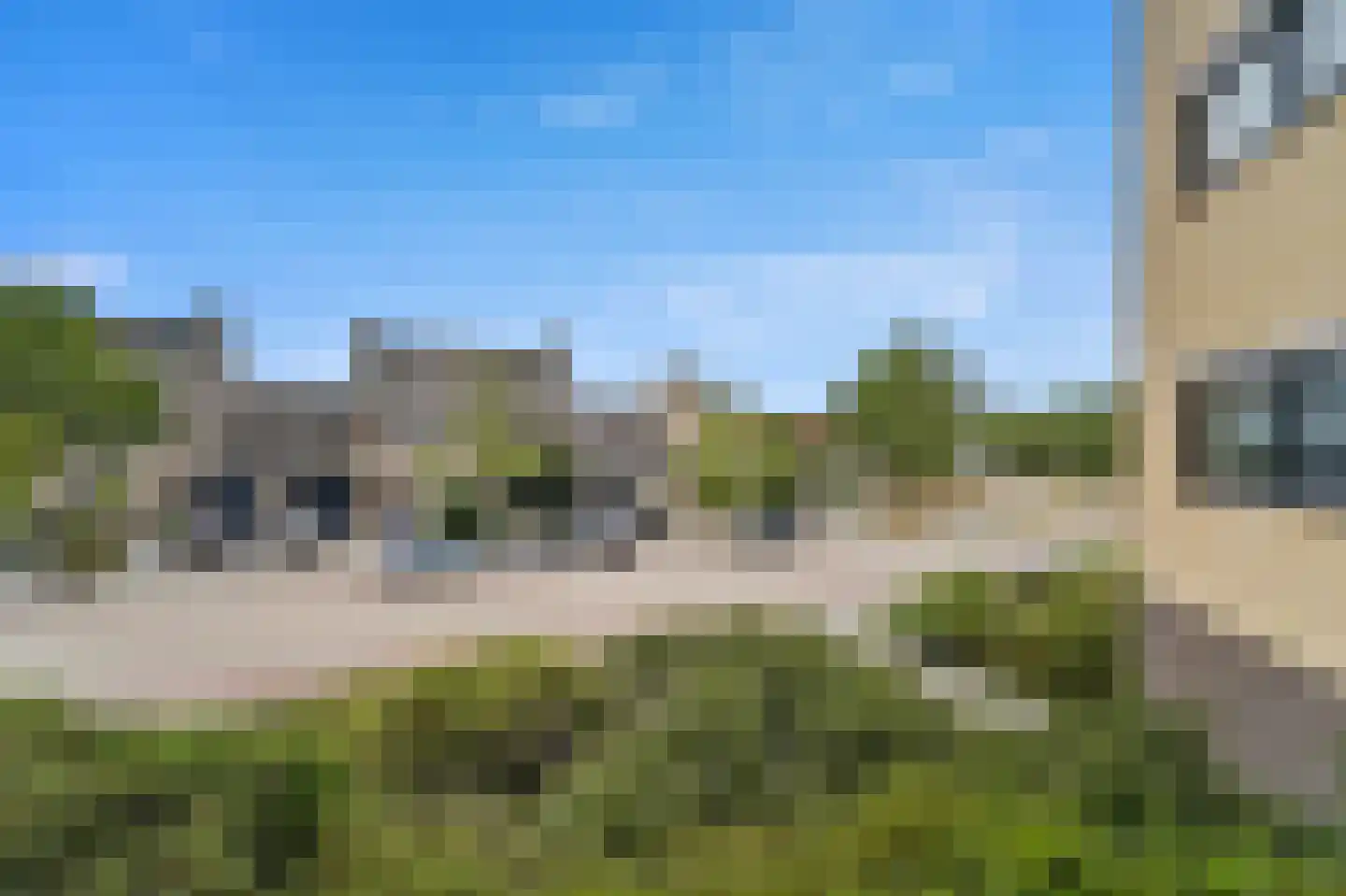 Zwanebloem 4 Den Hoorn thumbnail 22