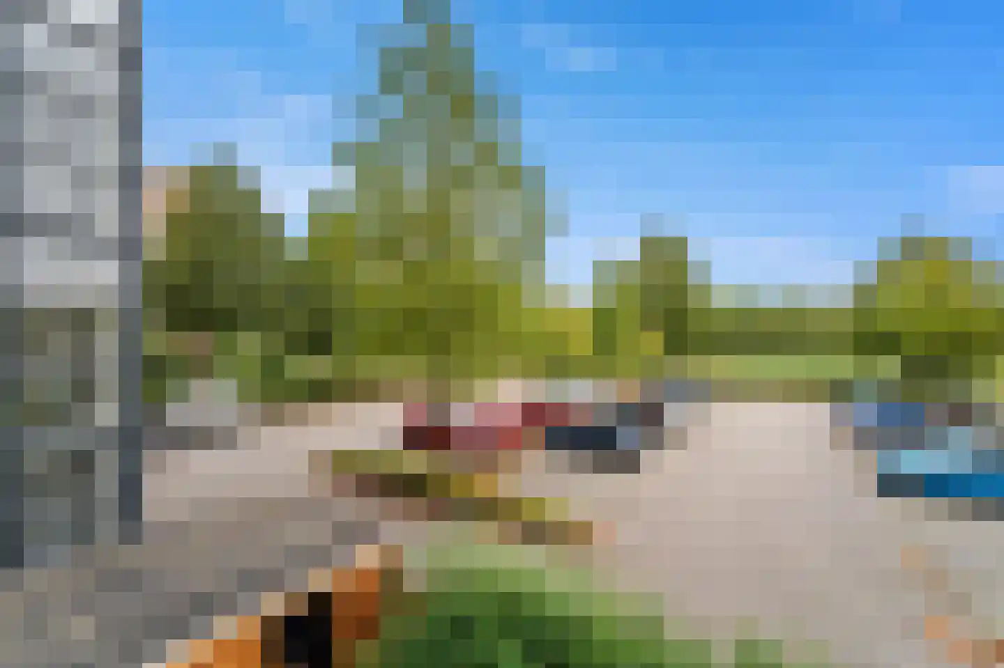 Zwanebloem 4 Den Hoorn thumbnail 31