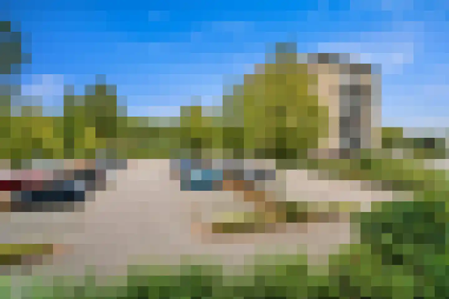 Zwanebloem 4 Den Hoorn thumbnail 32