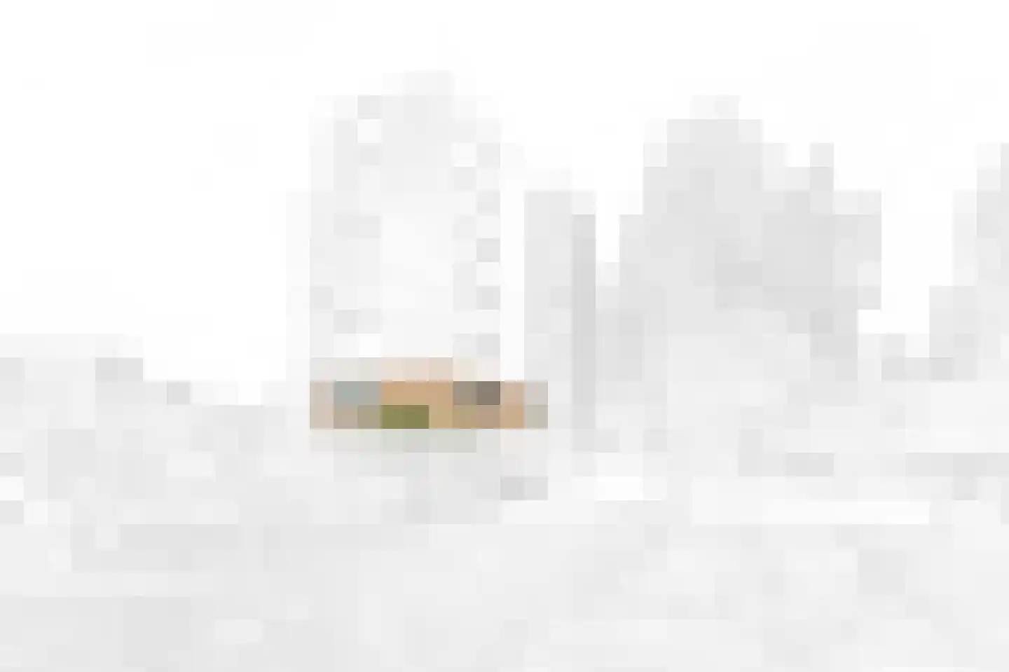 Zwanebloem 4 Den Hoorn thumbnail 4