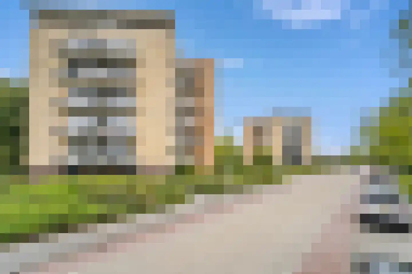 Zwanebloem 4 Den Hoorn thumbnail 5