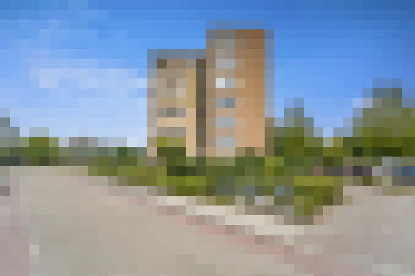 Zwanebloem 4 Den Hoorn thumbnail 6