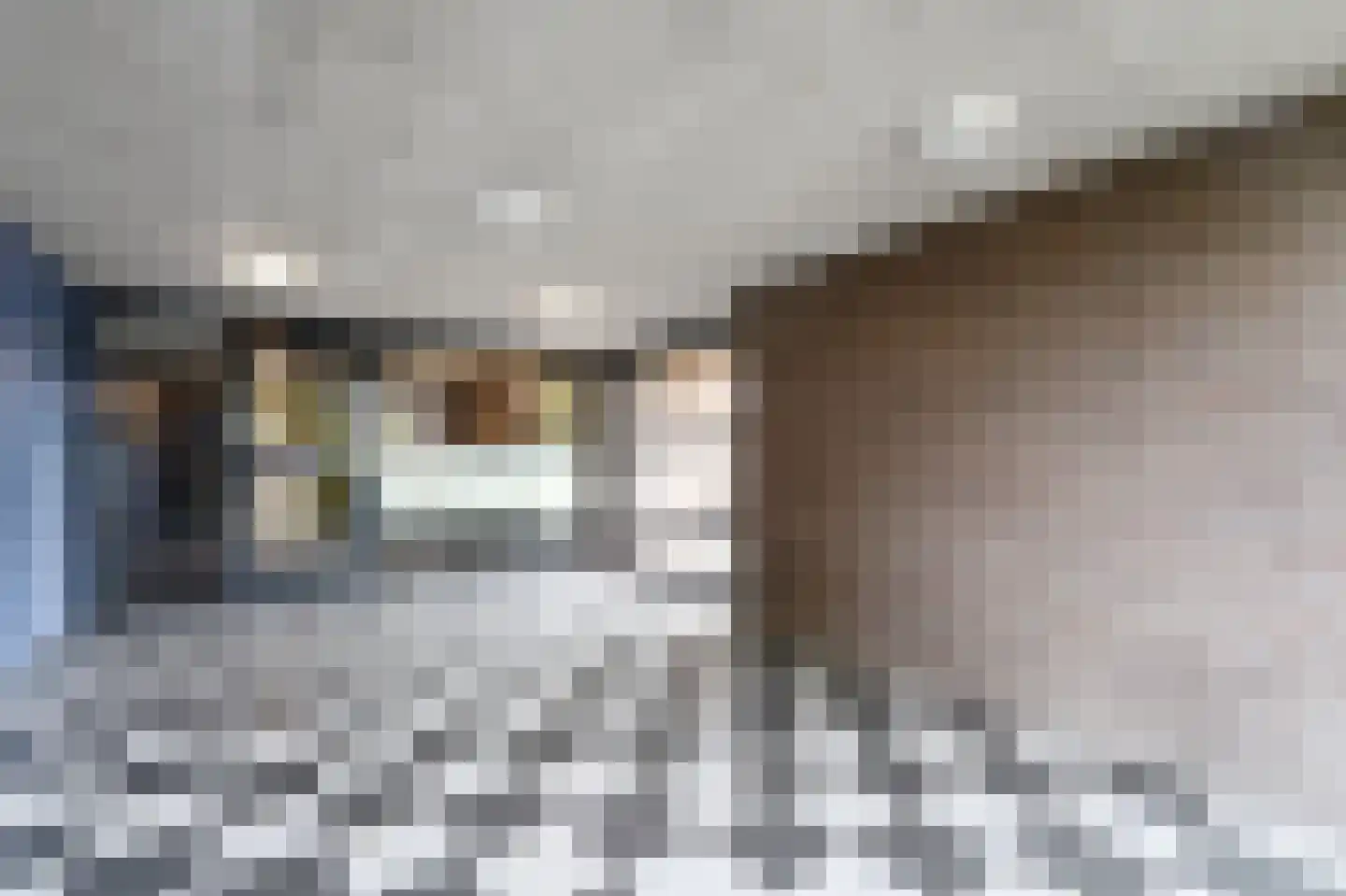 Zwanebloem 4 Den Hoorn thumbnail 7