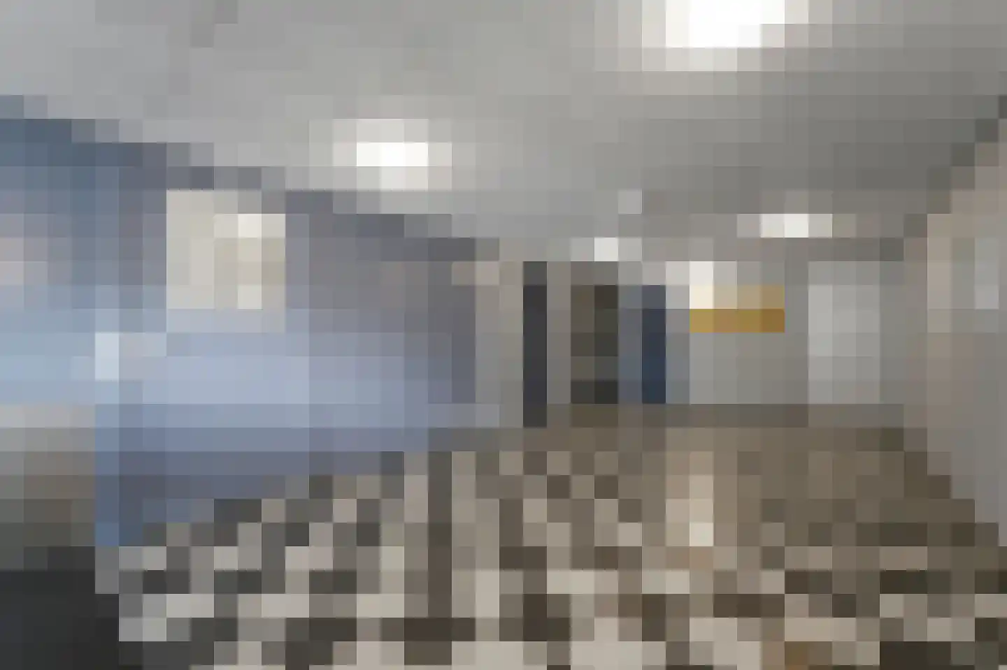 Zwanebloem 4 Den Hoorn thumbnail 8