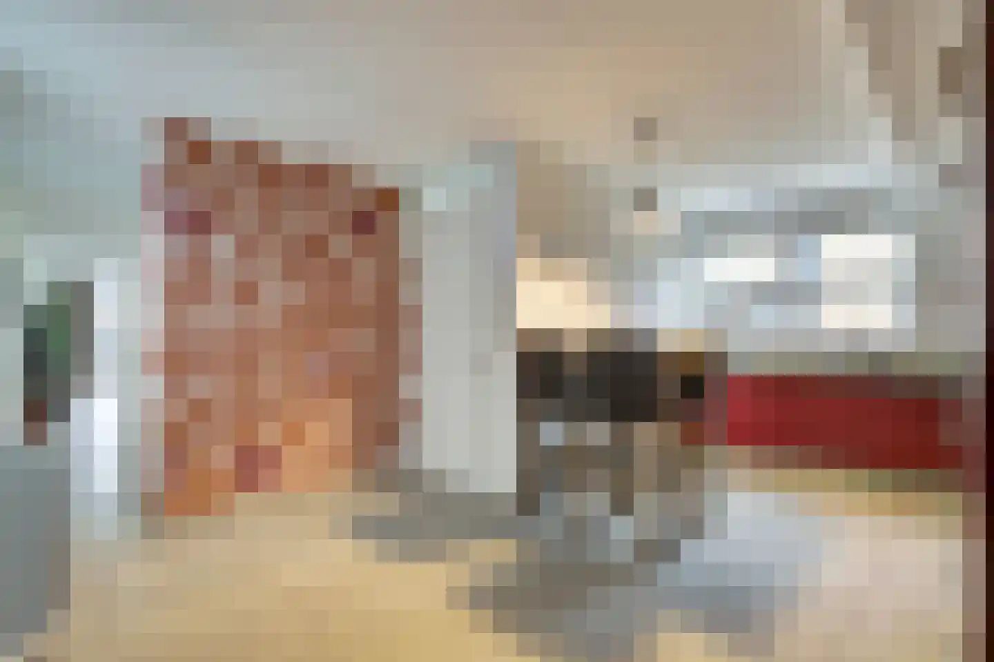 Zwanebloem 4 Hendrik-Ido-Ambacht thumbnail 16
