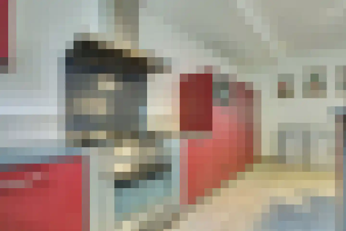 Zwanebloem 4 Hendrik-Ido-Ambacht thumbnail 18