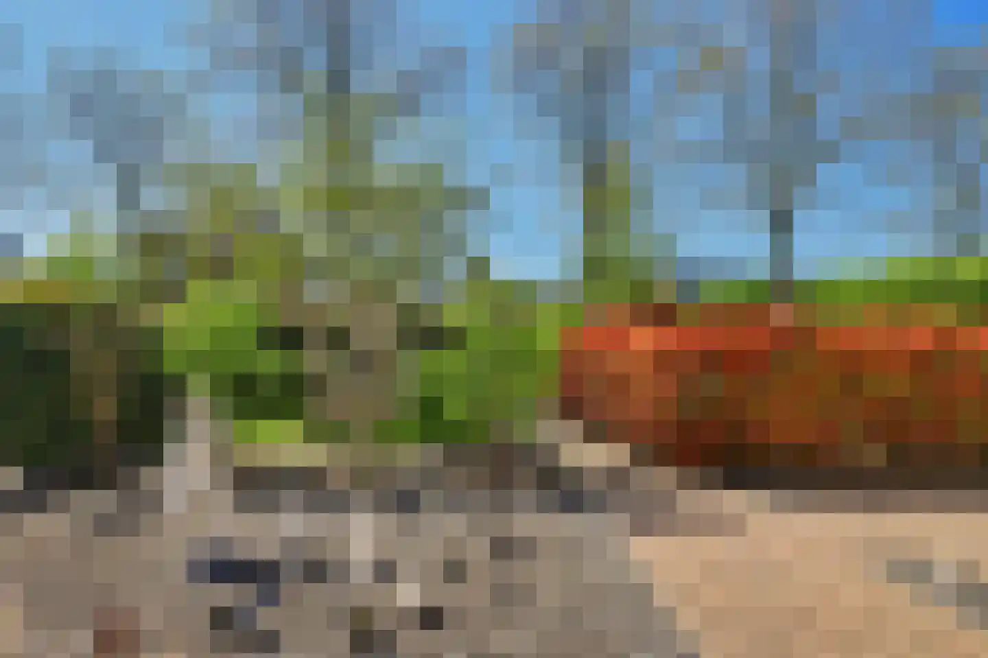 Zwanebloem 4 Hendrik-Ido-Ambacht thumbnail 21