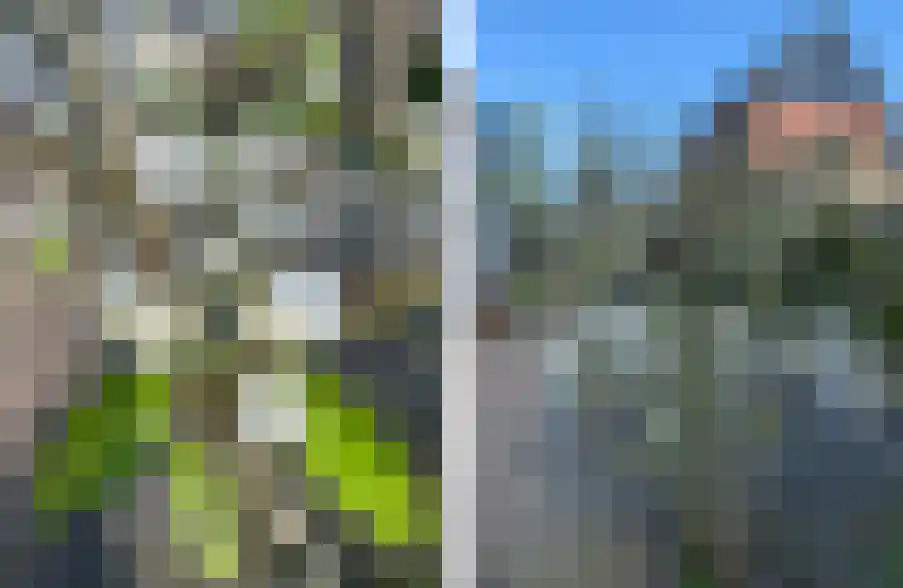 Zwanebloem 4 Hendrik-Ido-Ambacht thumbnail 23