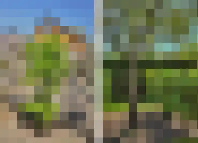 Zwanebloem 4 Hendrik-Ido-Ambacht thumbnail 25