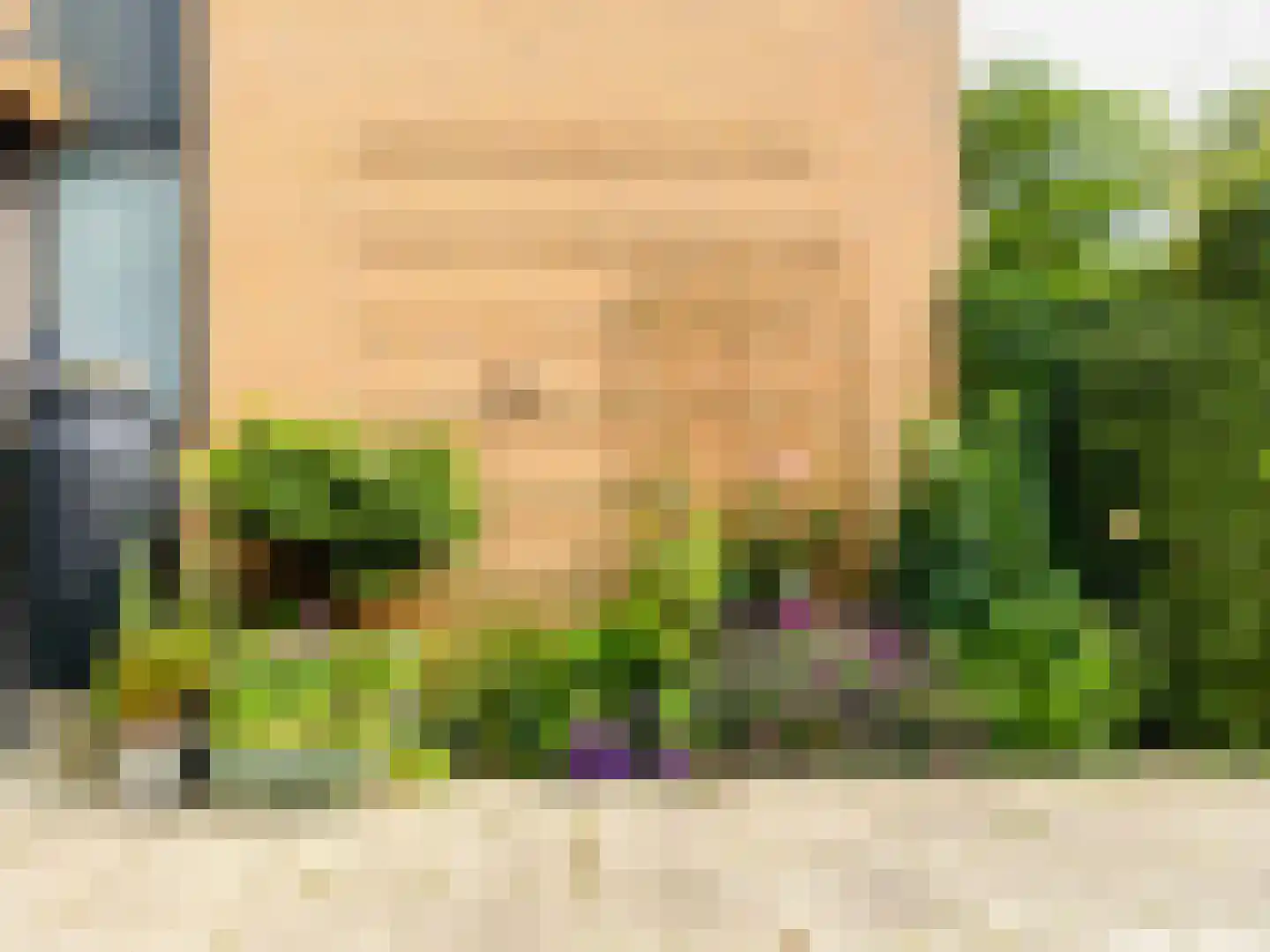 Zwanebloem 4 Hendrik-Ido-Ambacht thumbnail 28