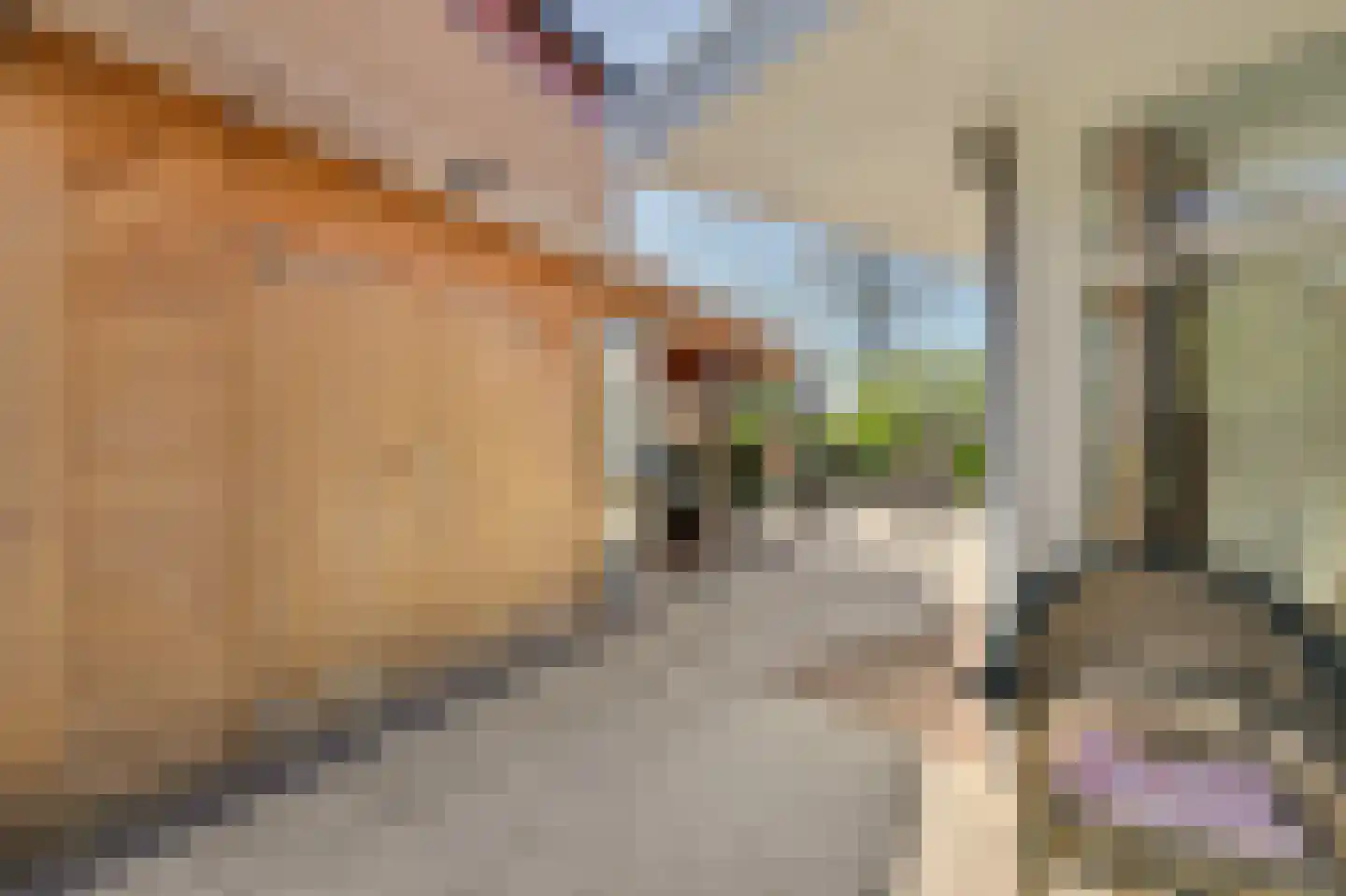 Zwanebloem 4 Hendrik-Ido-Ambacht thumbnail 31