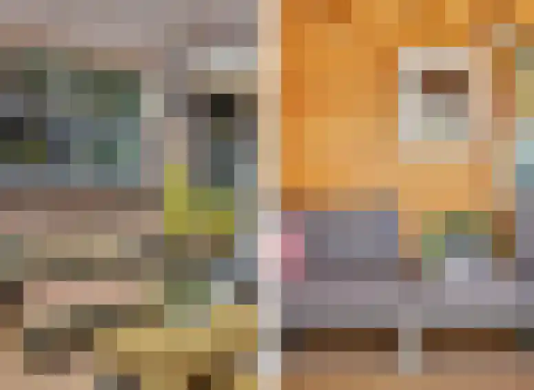 Zwanebloem 4 Hendrik-Ido-Ambacht thumbnail 34