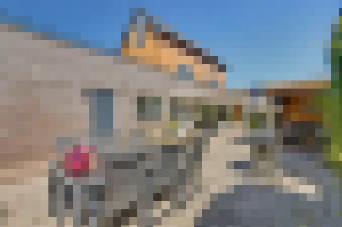 Zwanebloem 4 Hendrik-Ido-Ambacht thumbnail 37