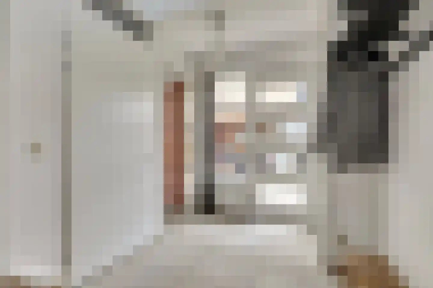 Zwanebloem 4 Hendrik-Ido-Ambacht thumbnail 38